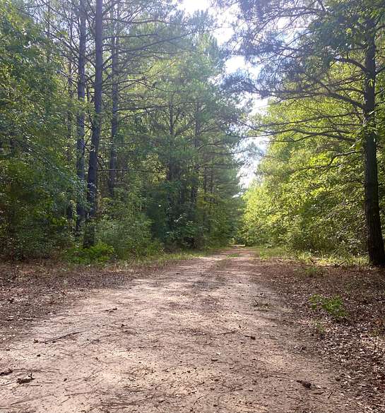 468 Acres of Recreational Land & Farm for Sale in Texarkana, Texas ...