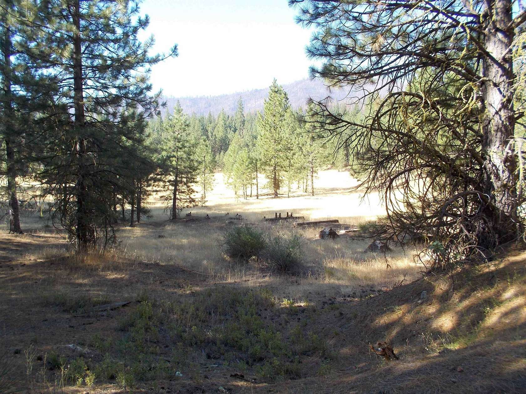 53.56 Acres of Land for Sale in Greenville, California