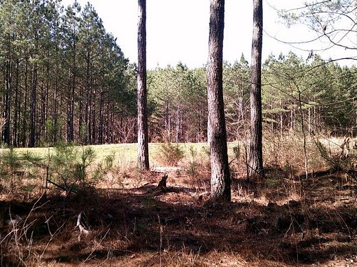 408 Acres of Recreational Land for Sale in Ringgold, Georgia