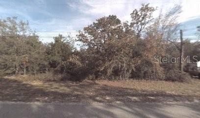 0.49 Acres of Residential Land for Sale in Satsuma, Florida