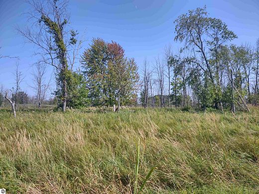 100 Acres of Recreational Land for Sale in Au Gres, Michigan