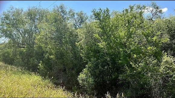 Land for Sale in Benavides, Texas