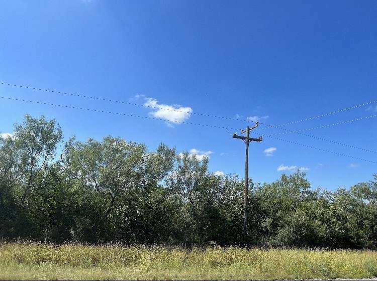 Land for Sale in Benavides, Texas