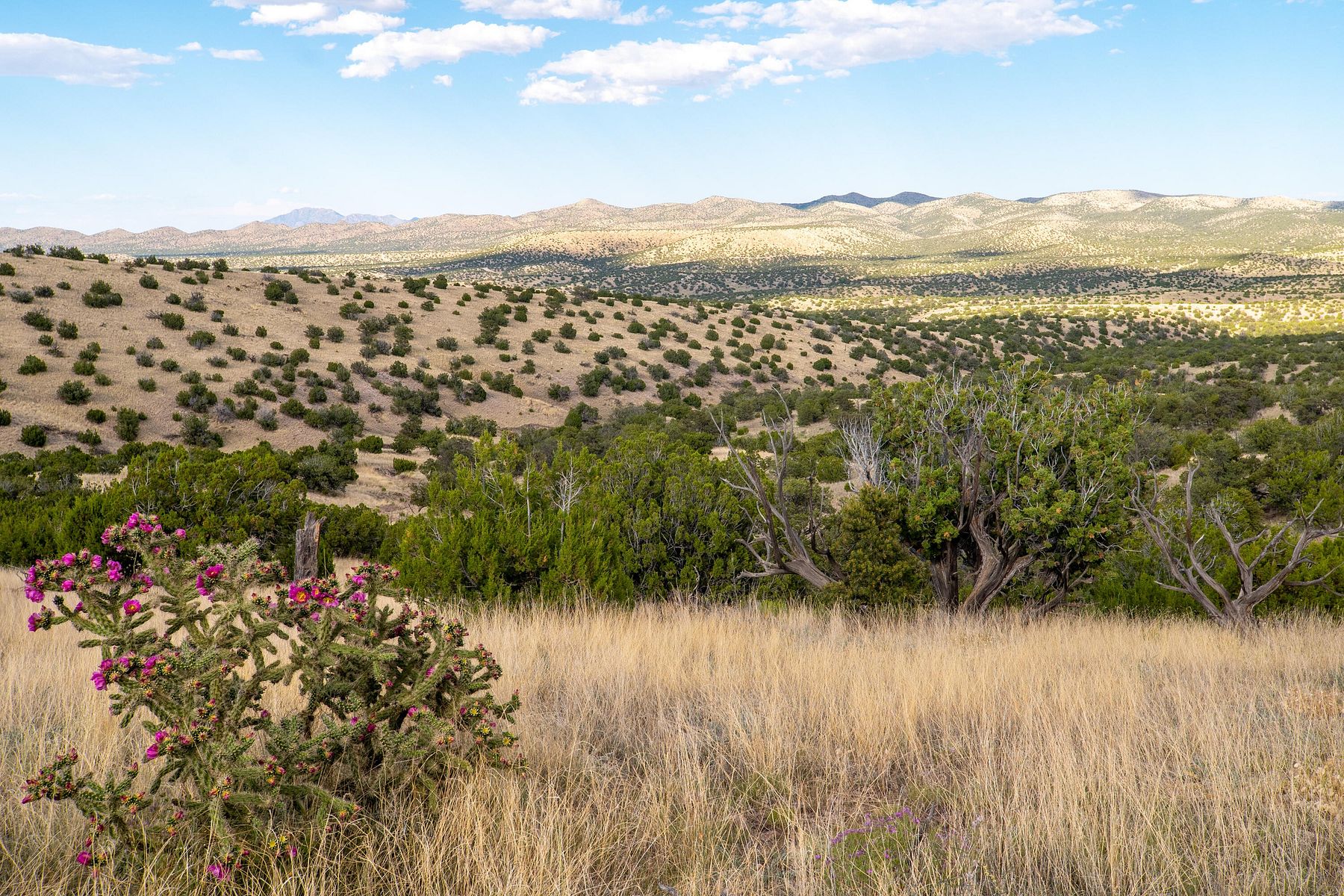 20.2 Acres of Land for Sale in Magdalena, New Mexico