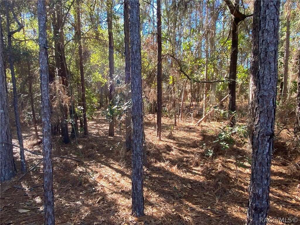 0.72 Acres of Land for Sale in Dunnellon, Florida