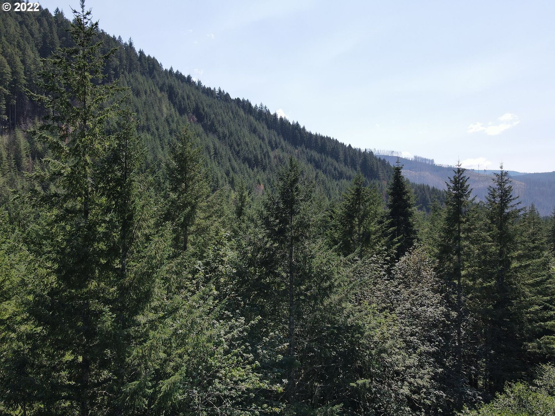 106 Acres of Land for Sale in Molalla, Oregon LandSearch