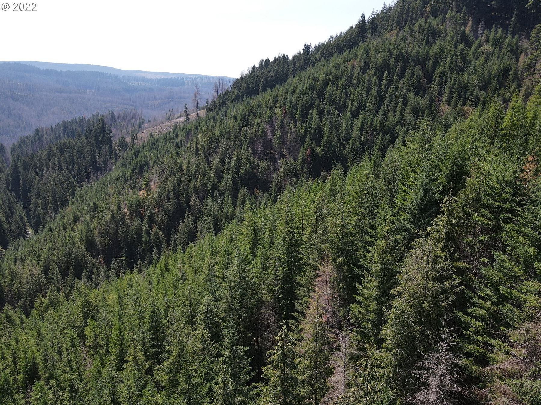 106 Acres of Land for Sale in Molalla, Oregon LandSearch