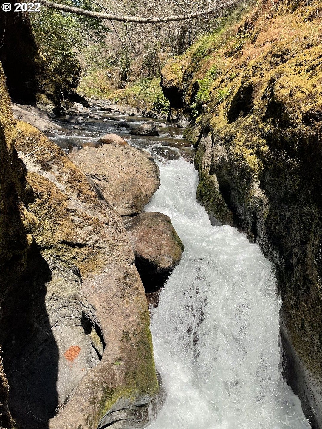 106 Acres of Land for Sale in Molalla, Oregon LandSearch