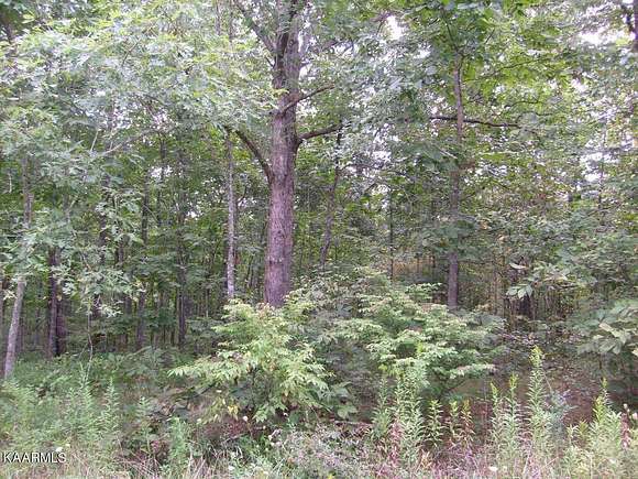 0.25 Acres of Land for Sale in Crossville, Tennessee