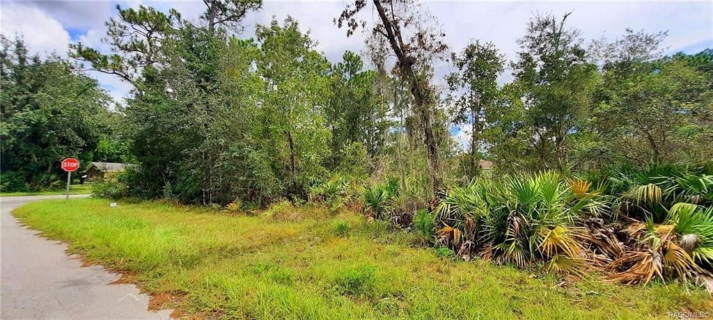 0.43 Acres of Land for Sale in Homosassa, Florida