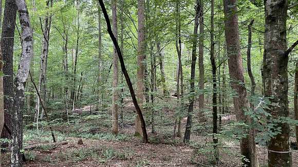 24.24 Acres of Land for Sale in Wake Forest, North Carolina
