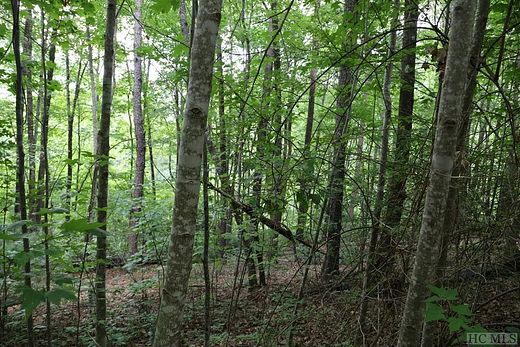 0.95 Acres of Land for Sale in Glenville, North Carolina