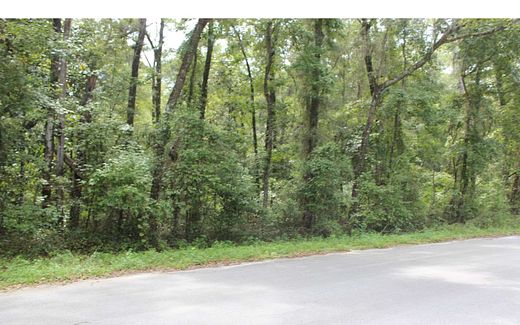 7 Acres of Residential Land for Sale in Live Oak, Florida