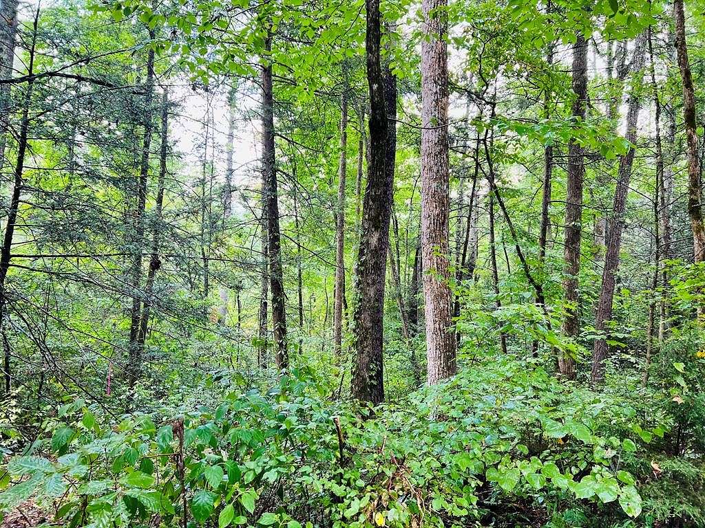 0.42 Acres of Residential Land for Sale in Sevierville, Tennessee