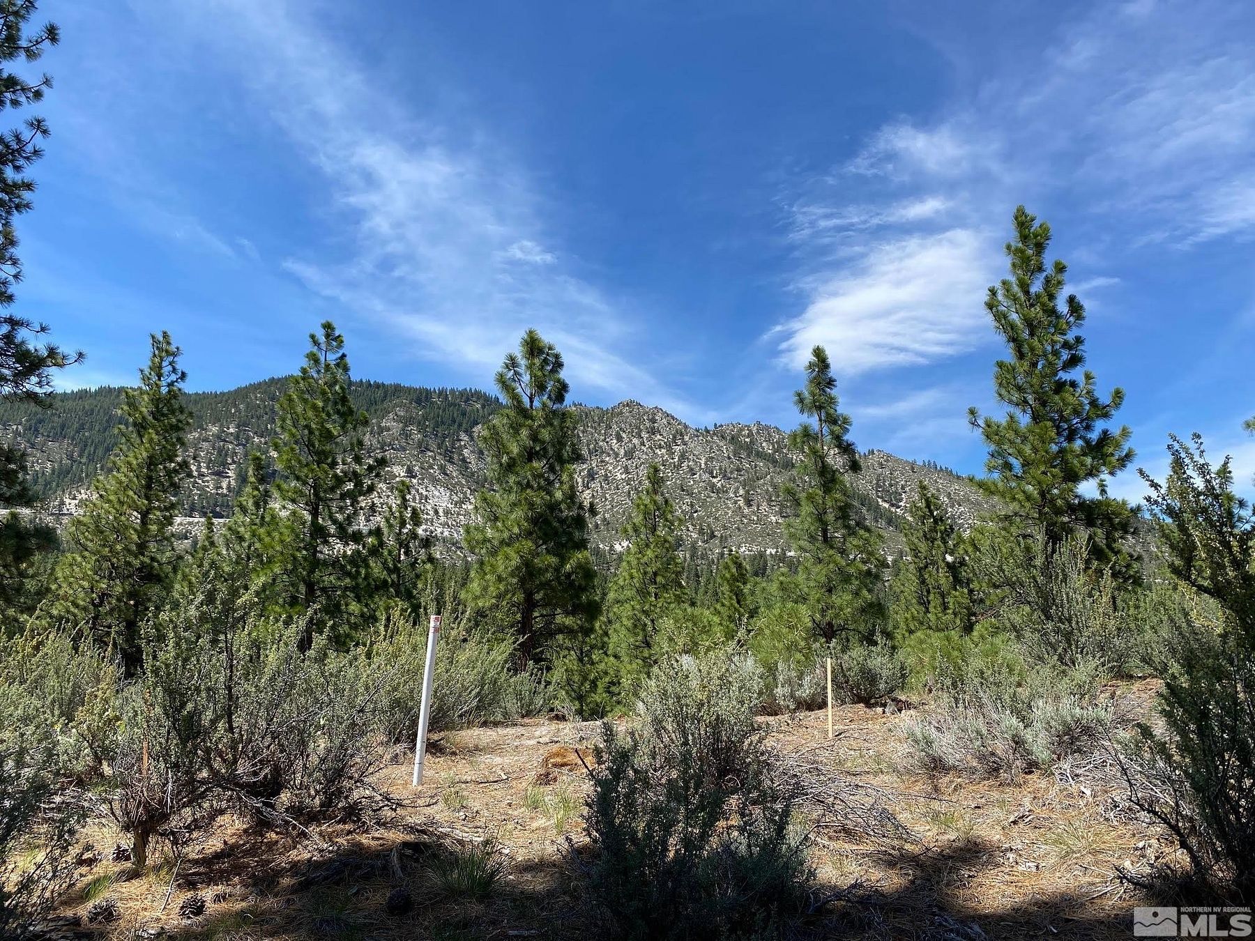 0.79 Acres of Residential Land for Sale in Carson City, Nevada