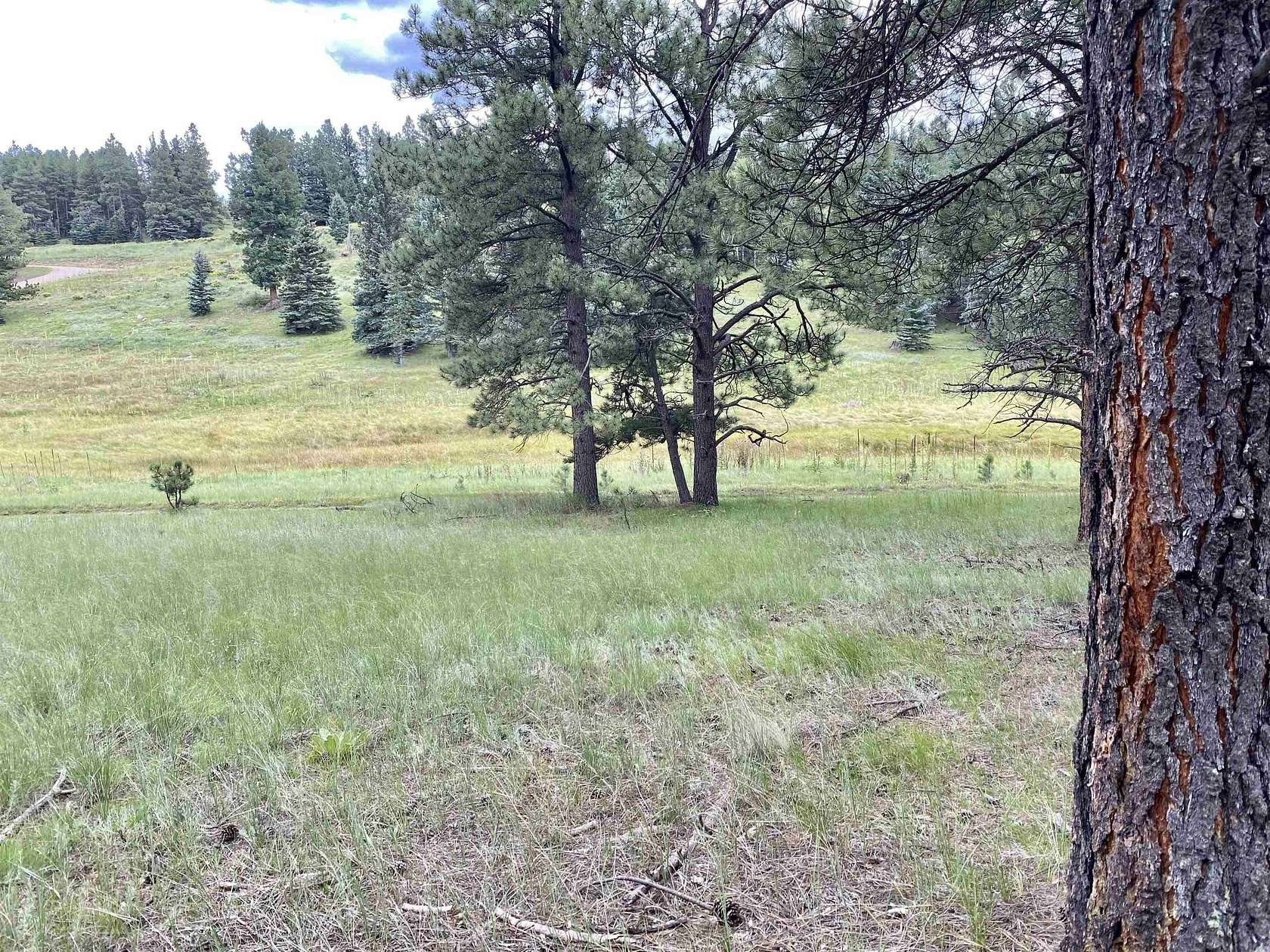 1.06 Acres of Residential Land for Sale in Angel Fire, New Mexico