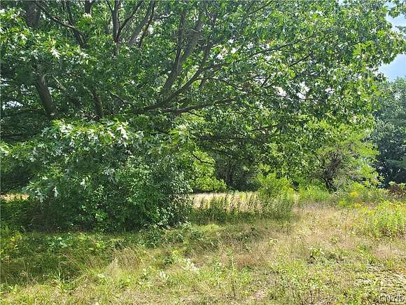 1.7 Acres of Residential Land for Sale in Watson, New York