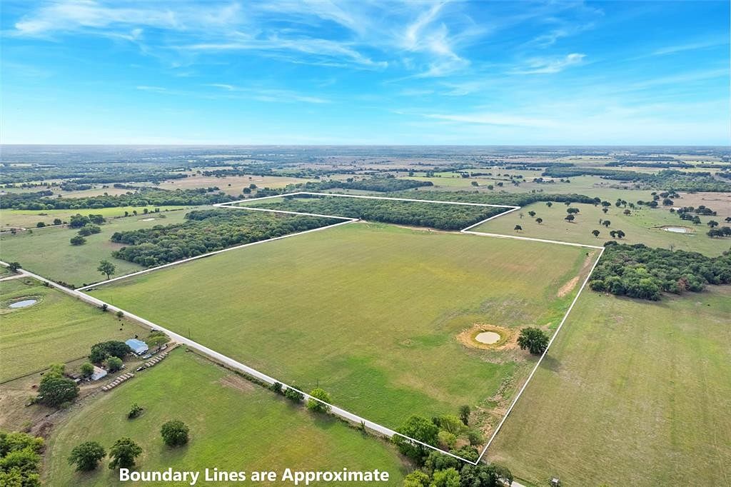 96.5 Acres of Agricultural Land for Sale in Blum, Texas