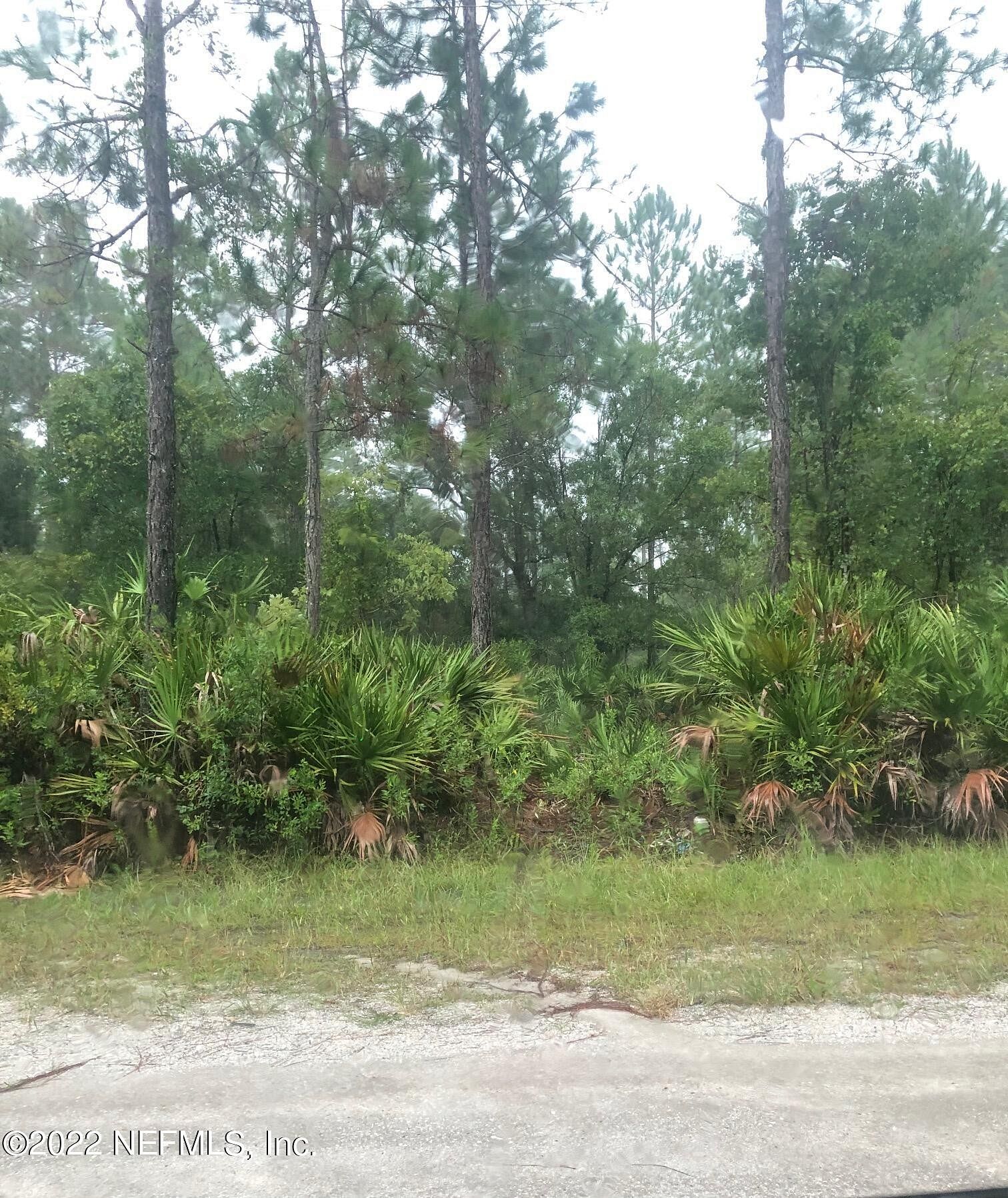 1 Acre of Residential Land for Sale in Bunnell, Florida