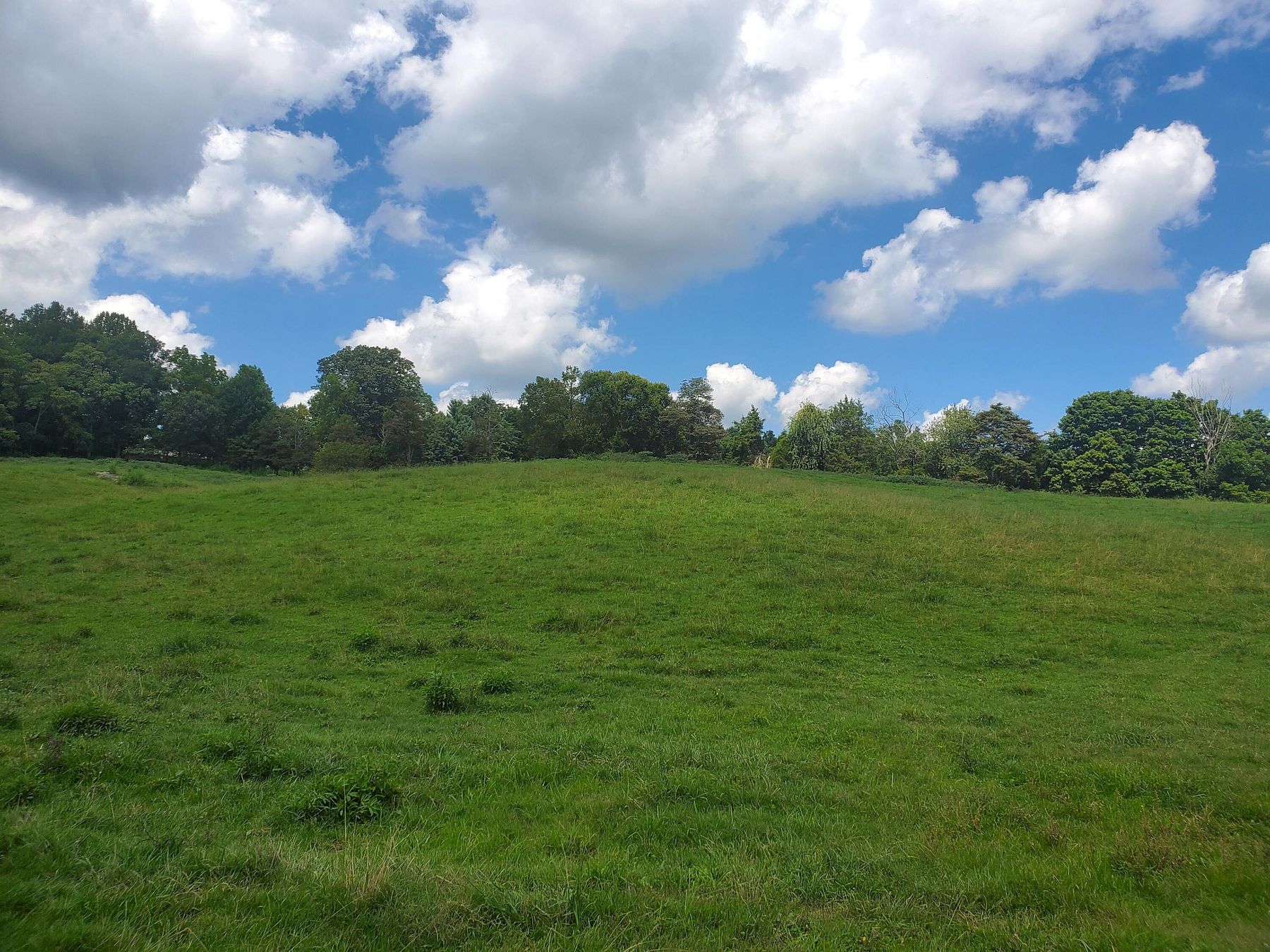 22.1 Acres of Land for Sale in Jonesborough, Tennessee