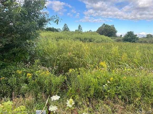 6.53 Acres of Residential Land for Sale in Jeddo, Michigan