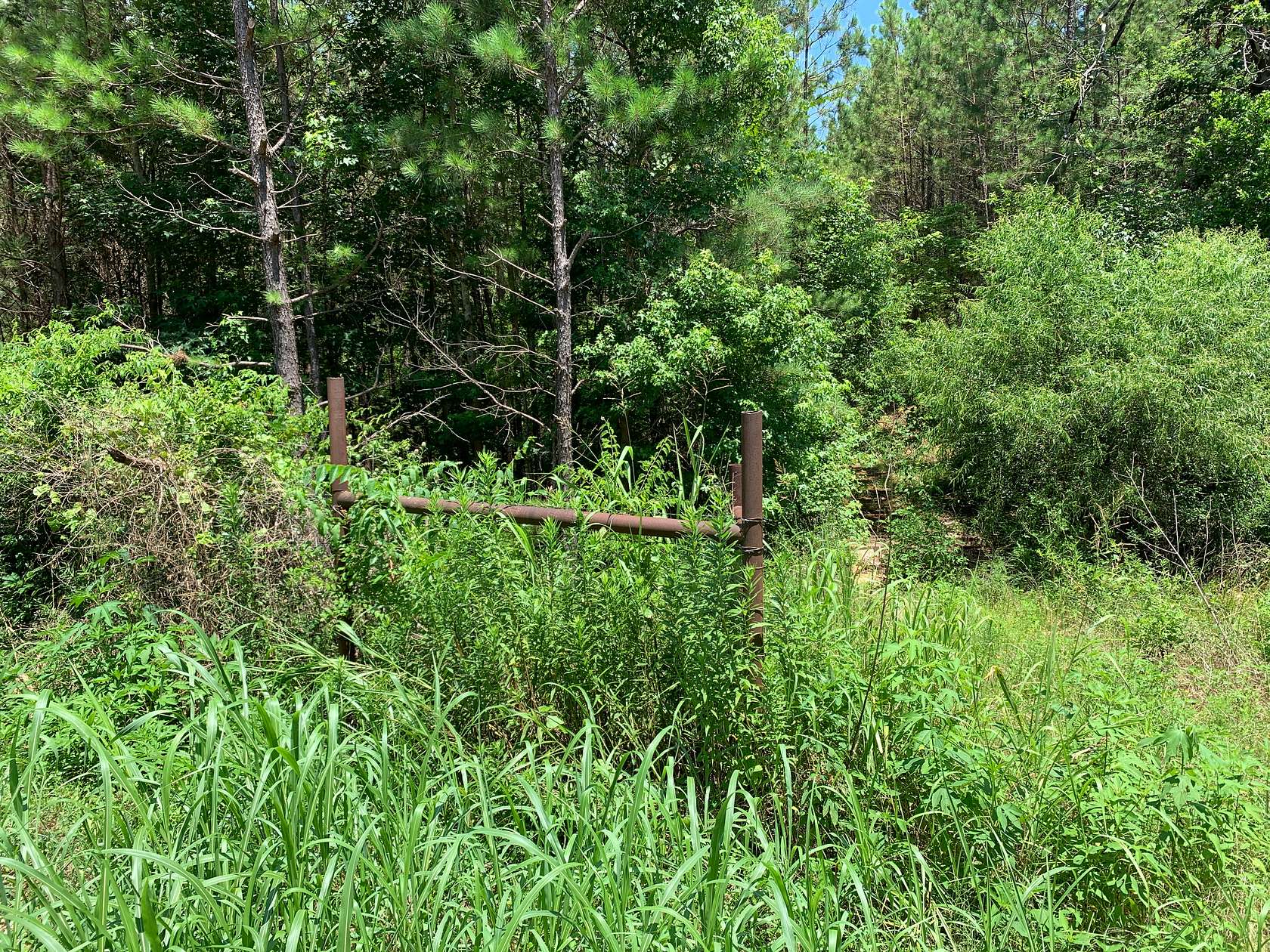 5 Acres of Residential Land for Sale in Jacksonville, Texas