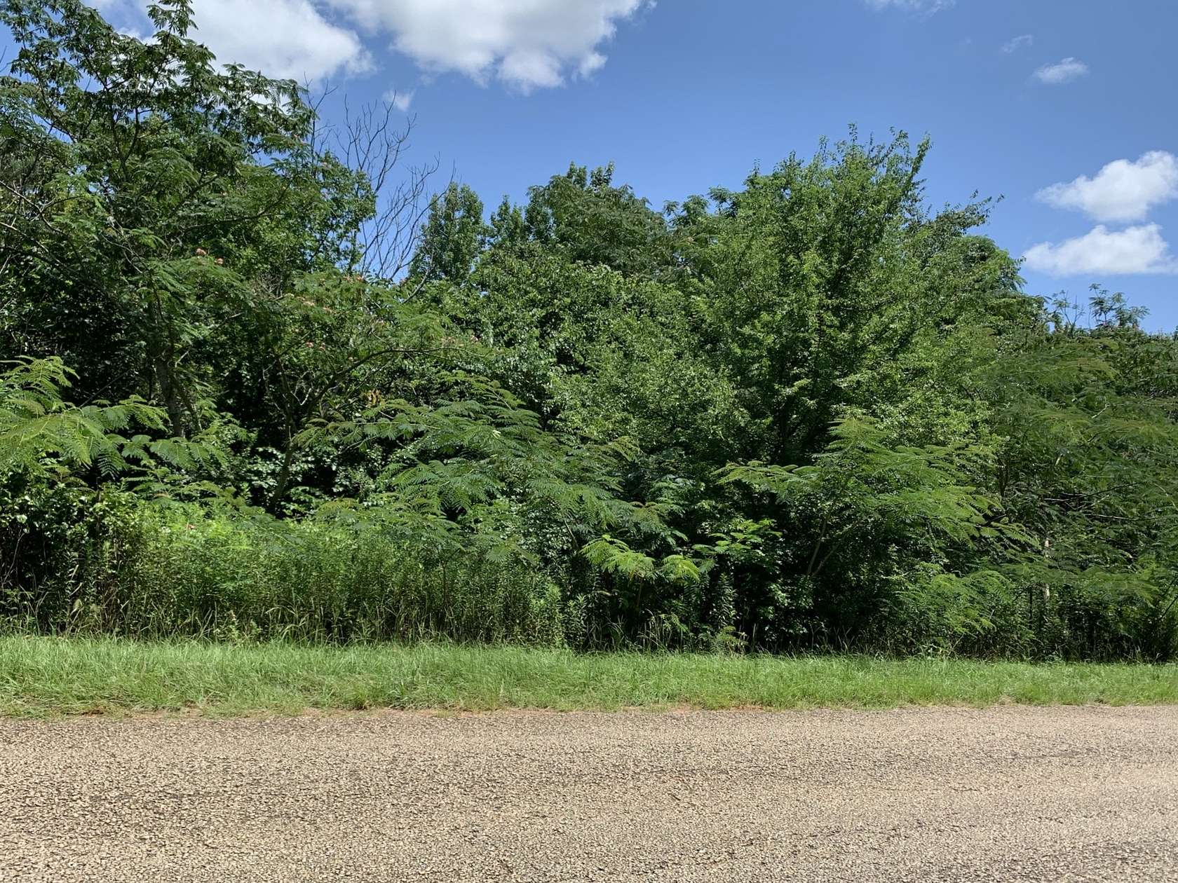 5 Acres of Residential Land for Sale in Jacksonville, Texas
