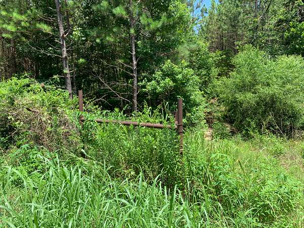 5 Acres of Residential Land for Sale in Jacksonville, Texas