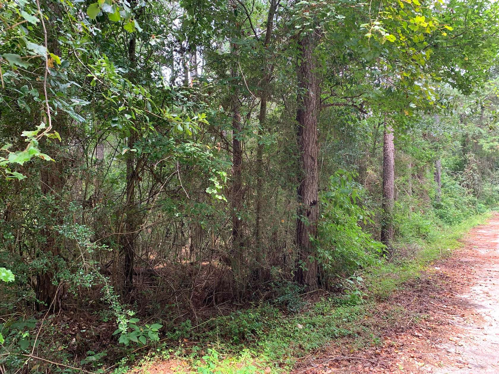 0.35 Acres of Residential Land for Sale in Newton, Texas