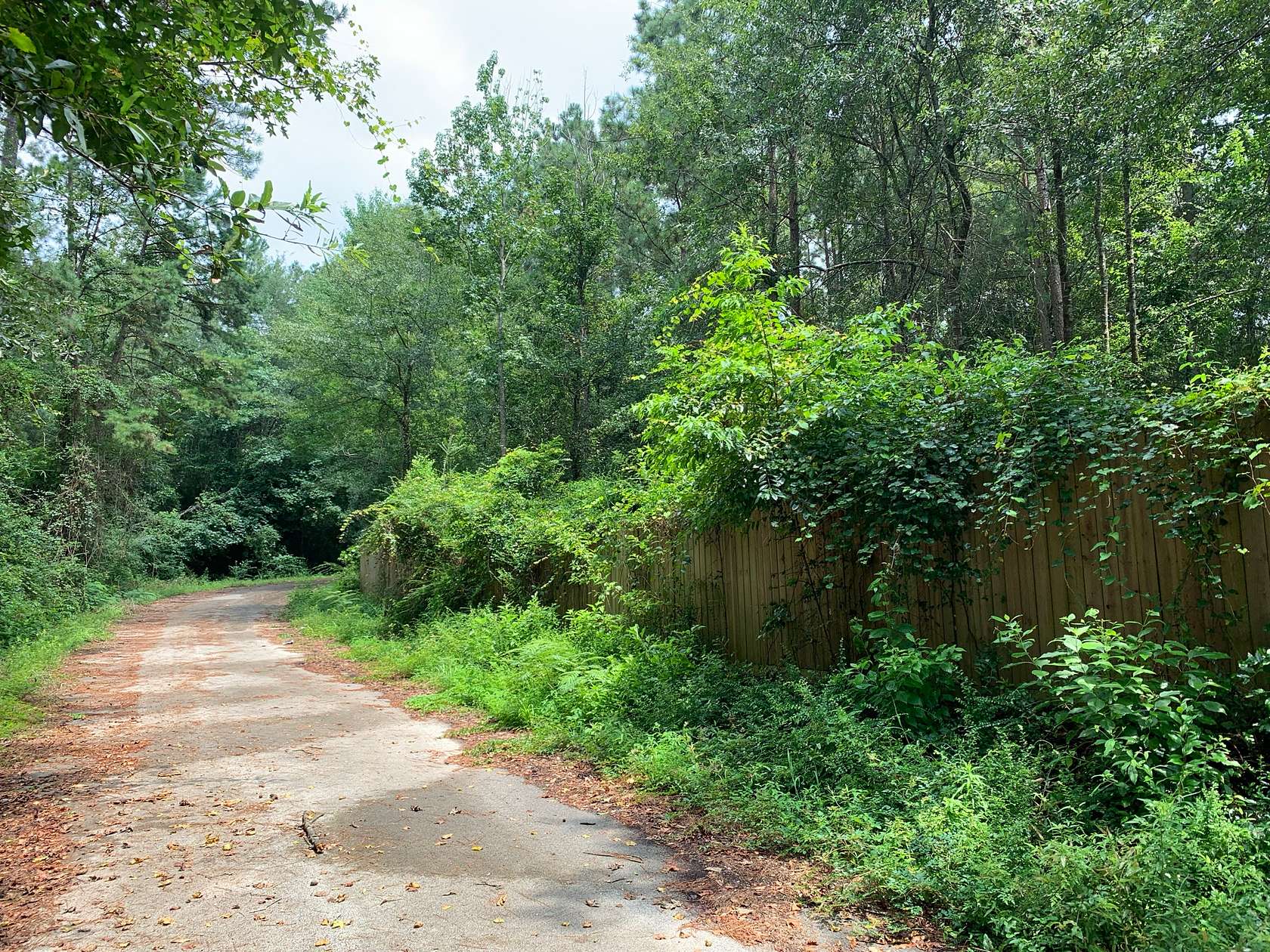 0.35 Acres of Residential Land for Sale in Newton, Texas