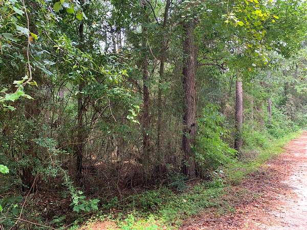 0.35 Acres of Residential Land for Sale in Newton, Texas