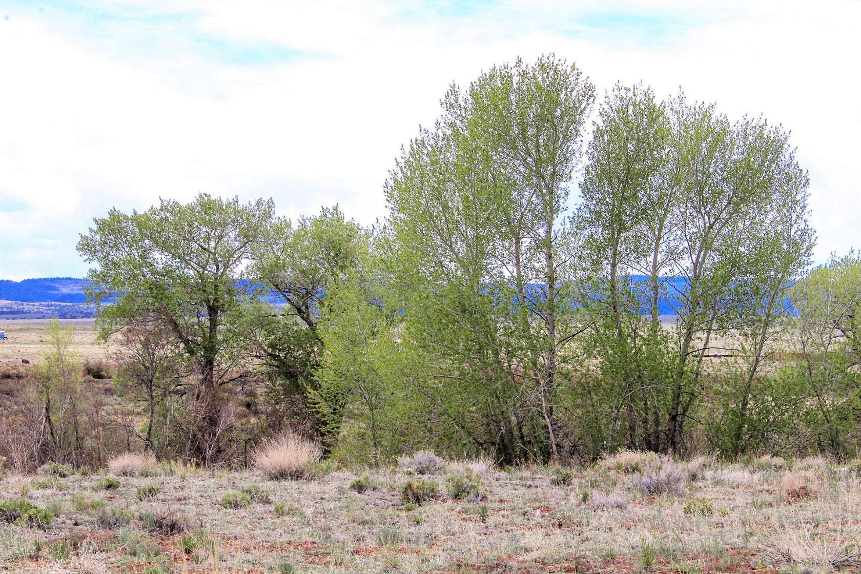 0.2 Acres of Residential Land for Sale in La Jara, Colorado