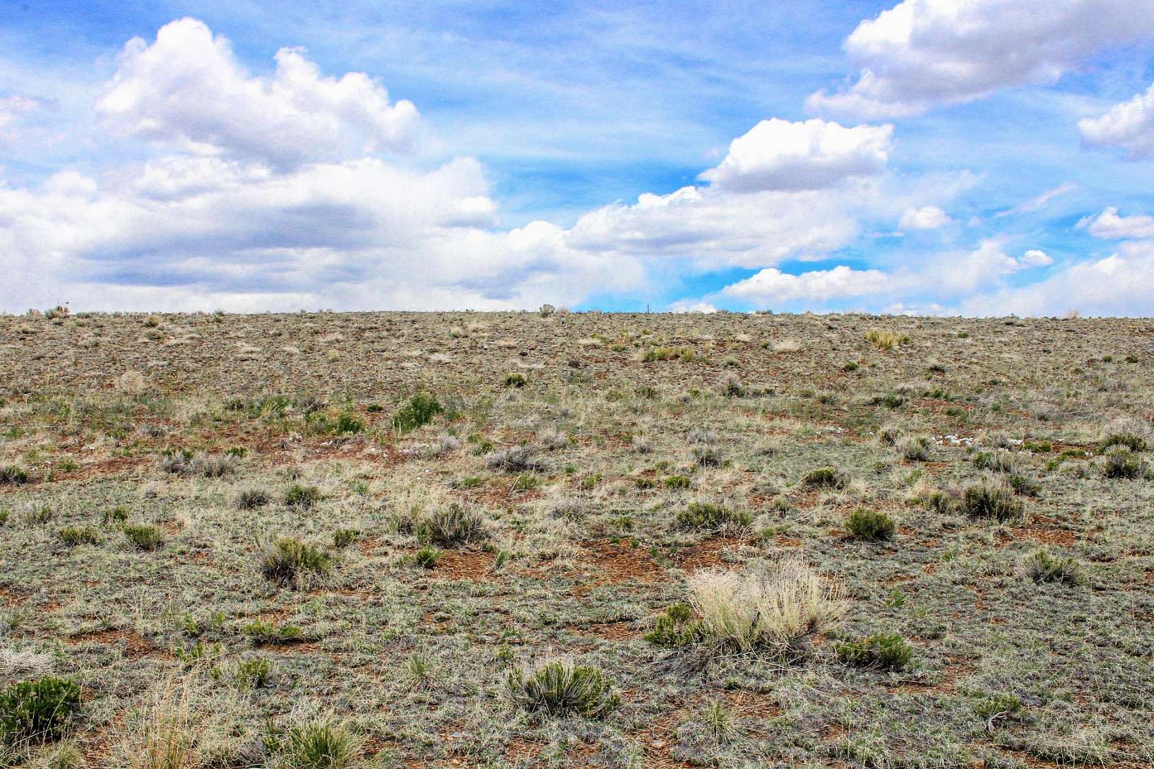 0.2 Acres of Residential Land for Sale in La Jara, Colorado