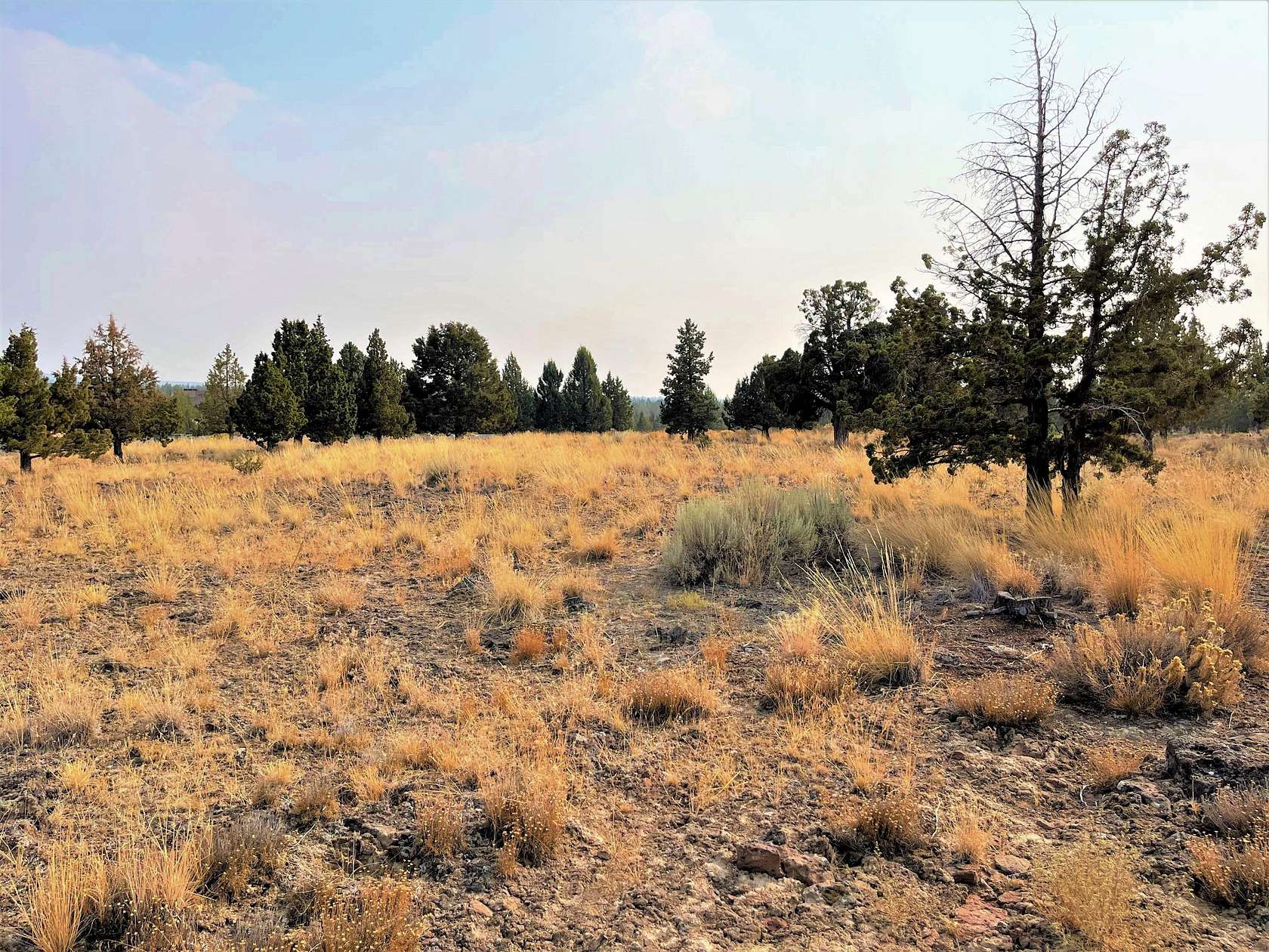 1.1 Acres of Residential Land for Sale in Prineville, Oregon