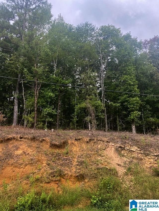 0.94 Acres of Land for Sale in Columbiana, Alabama