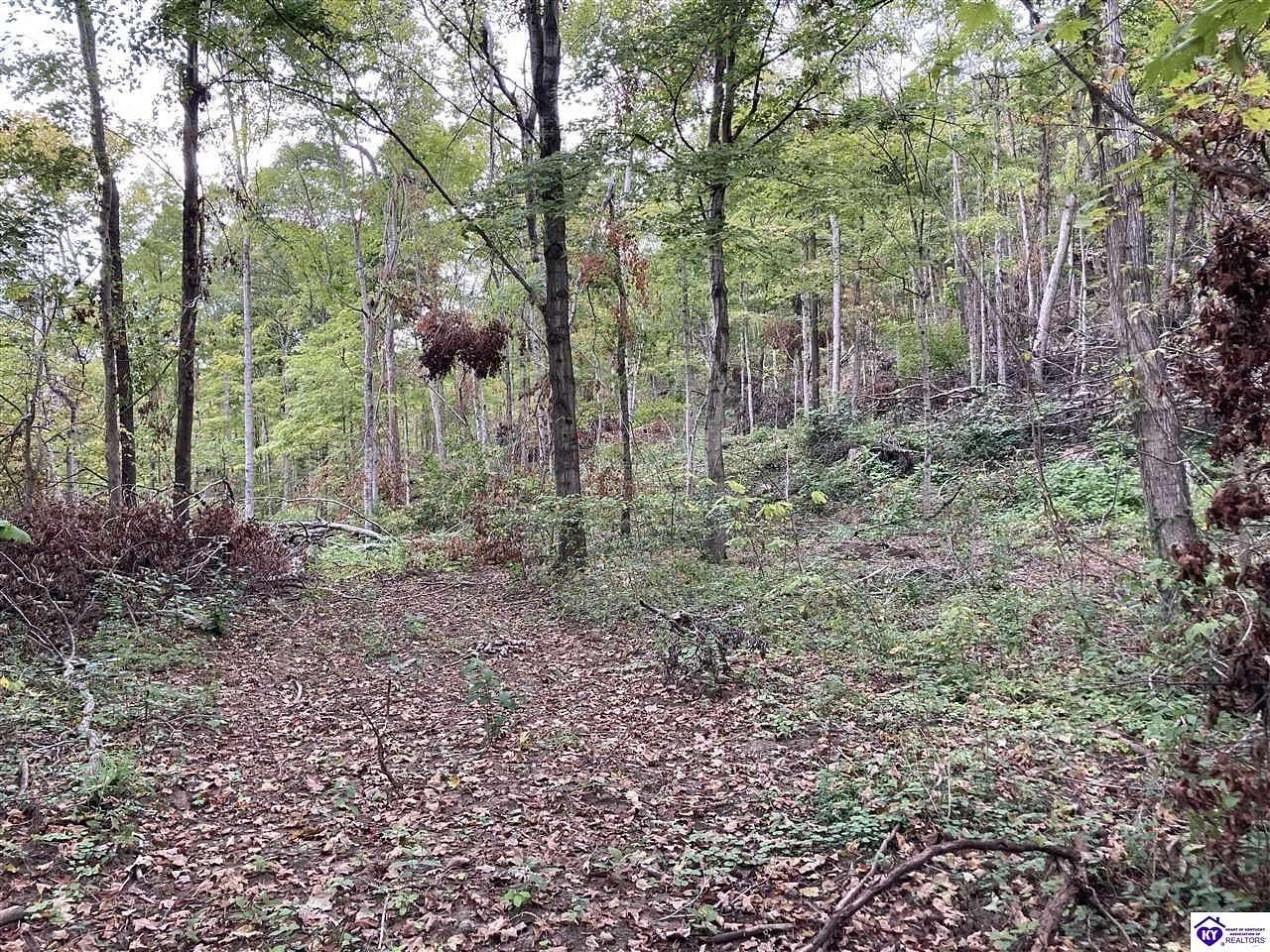 8.4 Acres of Land for Sale in Battletown, Kentucky