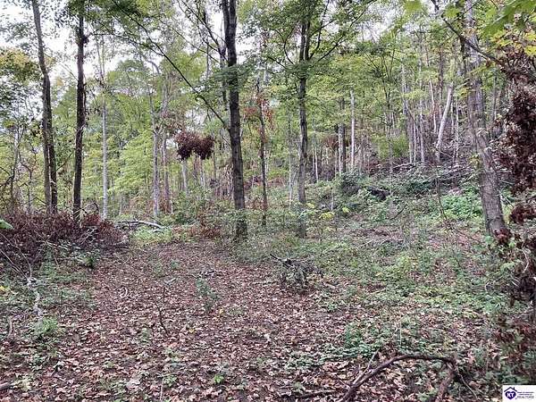 8.4 Acres of Land for Sale in Battletown, Kentucky