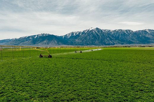 12,370 Acres of Agricultural Land for Sale in Minden, Nevada