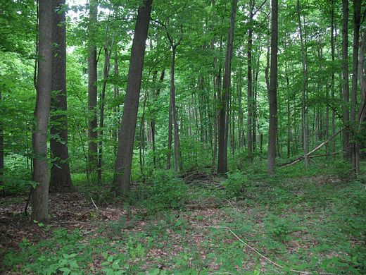 462 Acres of Recreational Land for Sale in New Paris, Pennsylvania