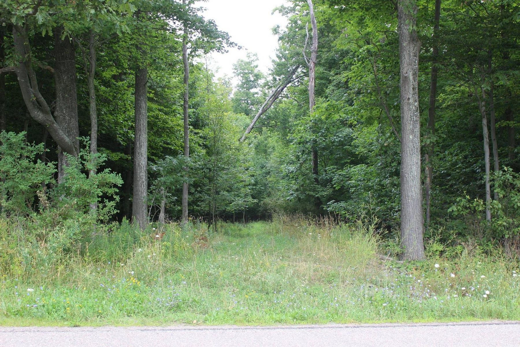 10 Acres of Recreational Land for Sale in Whitesville, New York