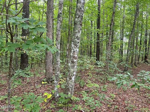 7.5 Acres of Residential Land for Sale in Monterey, Tennessee