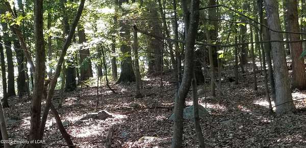 0.23 Acres of Residential Land for Sale in Nuangola, Pennsylvania