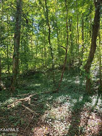 0.55 Acres of Land for Sale in Knoxville, Tennessee