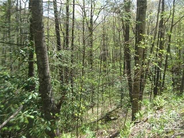 1.4 Acres of Residential Land for Sale in Black Mountain, North Carolina