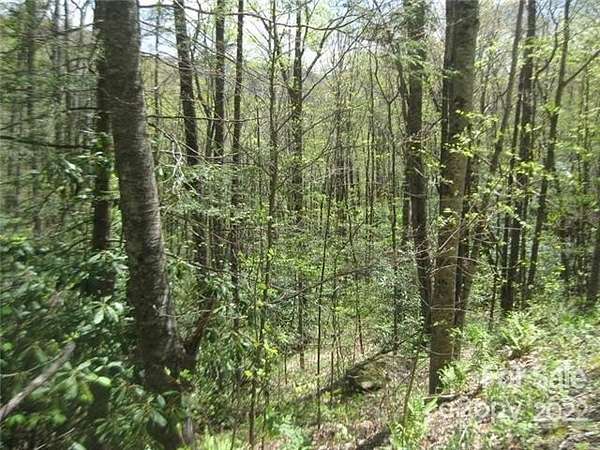 1.4 Acres of Residential Land for Sale in Black Mountain, North Carolina