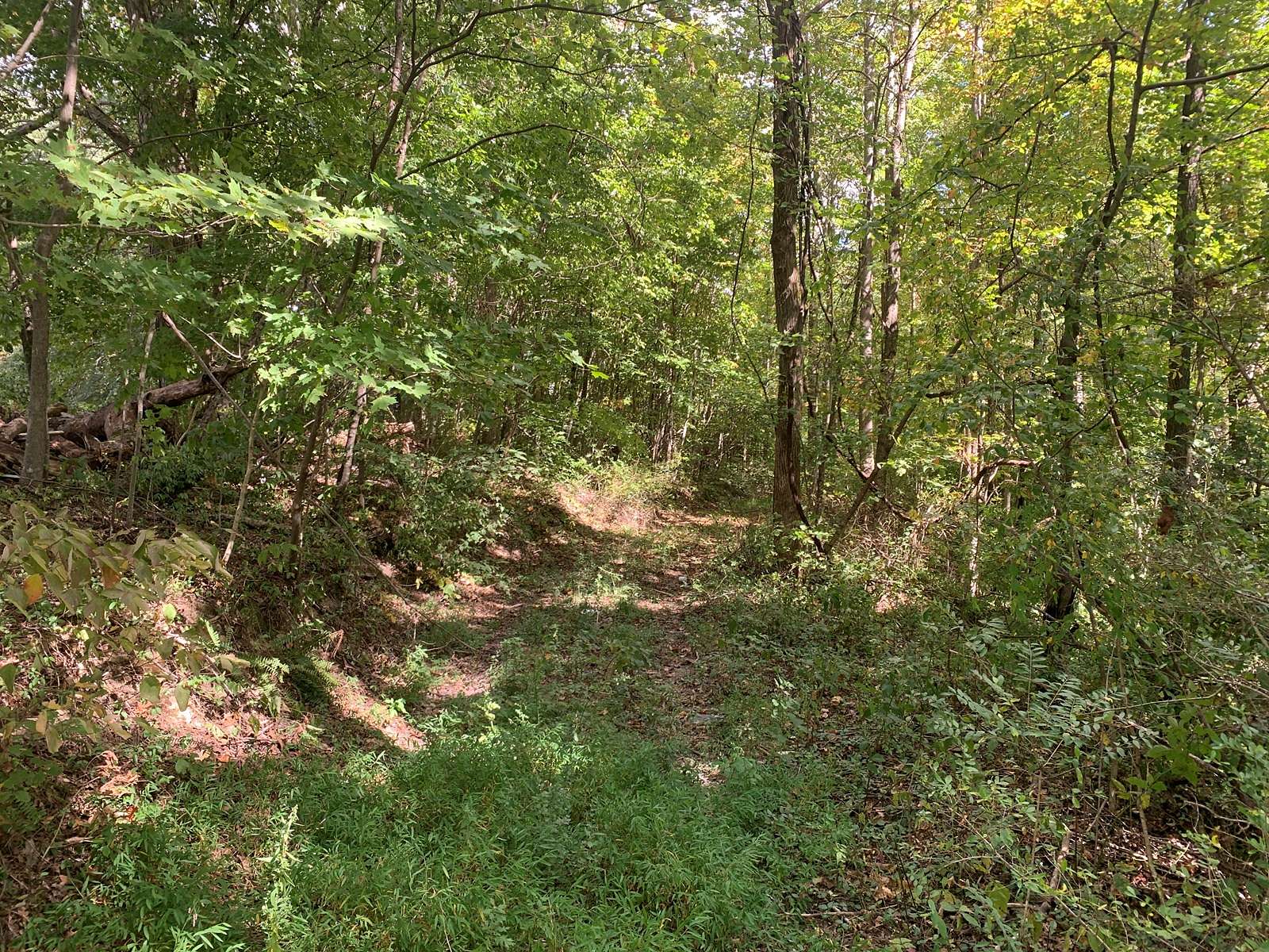 8.44 Acres of Land for Sale in Liberty, Kentucky