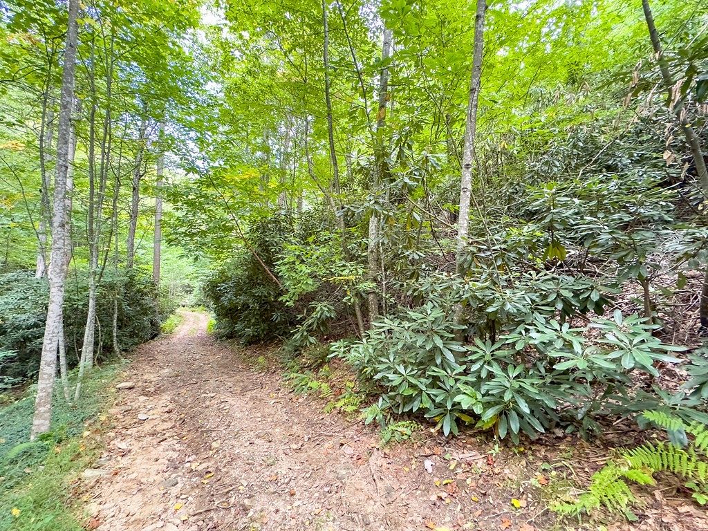 1.5 Acres of Residential Land for Sale in Fancy Gap, Virginia