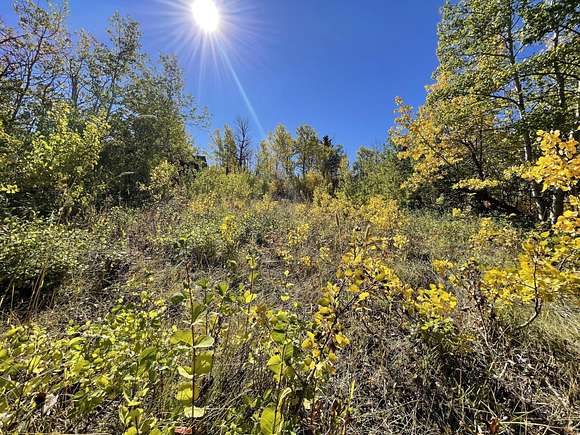 0.49 Acres of Residential Land for Sale in Babb, Montana