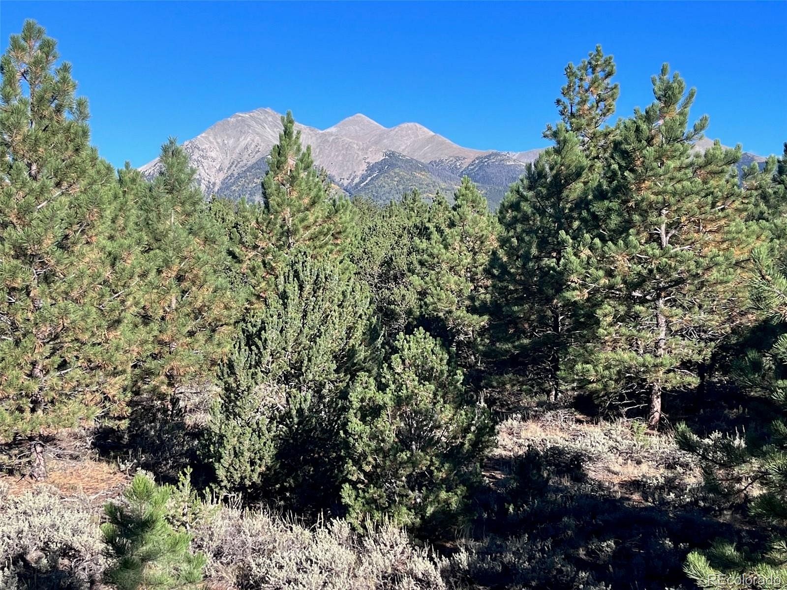 29.4 Acres of Land for Sale in Salida, Colorado
