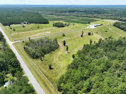 101 Acres of Agricultural Land for Sale in Woodbine, Georgia